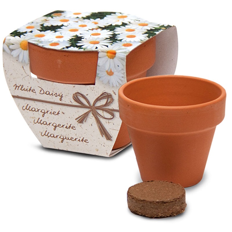Terracotta potje in doosje - Afbeelding 4